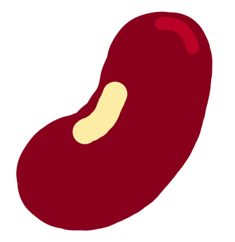 bean
